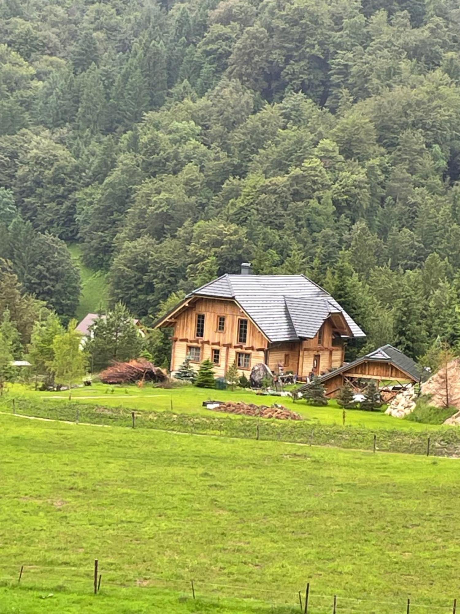 Apartment Pod Skalco Jesenice Esterno foto