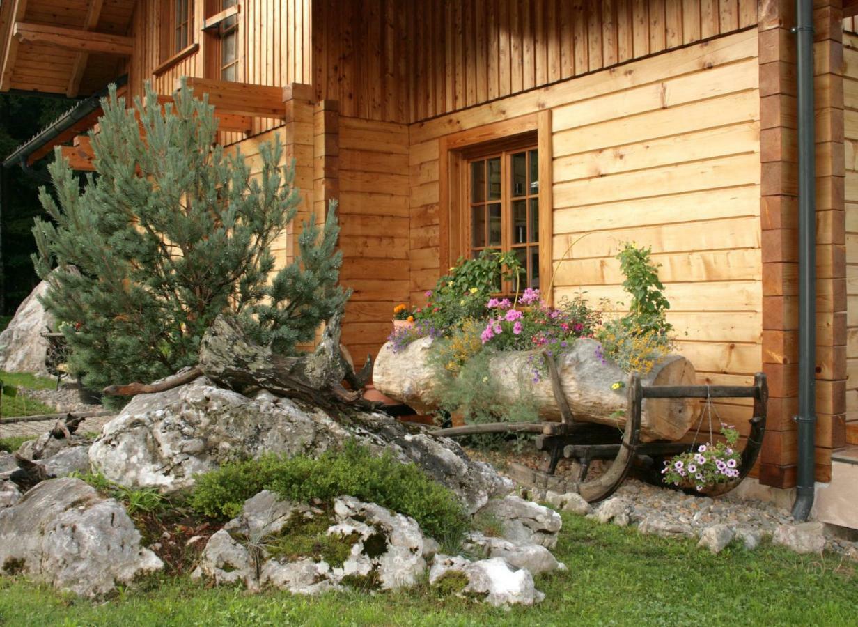 Apartment Pod Skalco Jesenice Esterno foto