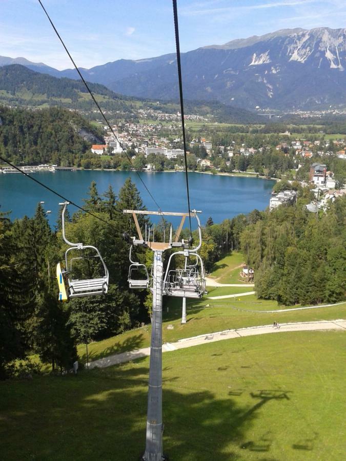 Apartment Pod Skalco Jesenice Esterno foto