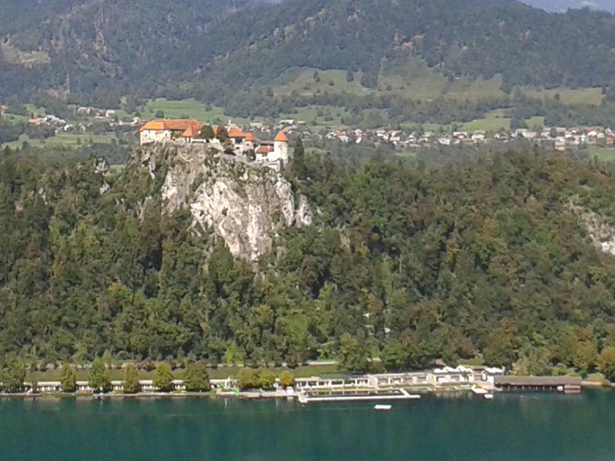 Apartment Pod Skalco Jesenice Esterno foto